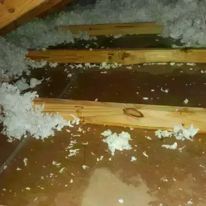 Attic Water Damage in Nokomis, IL