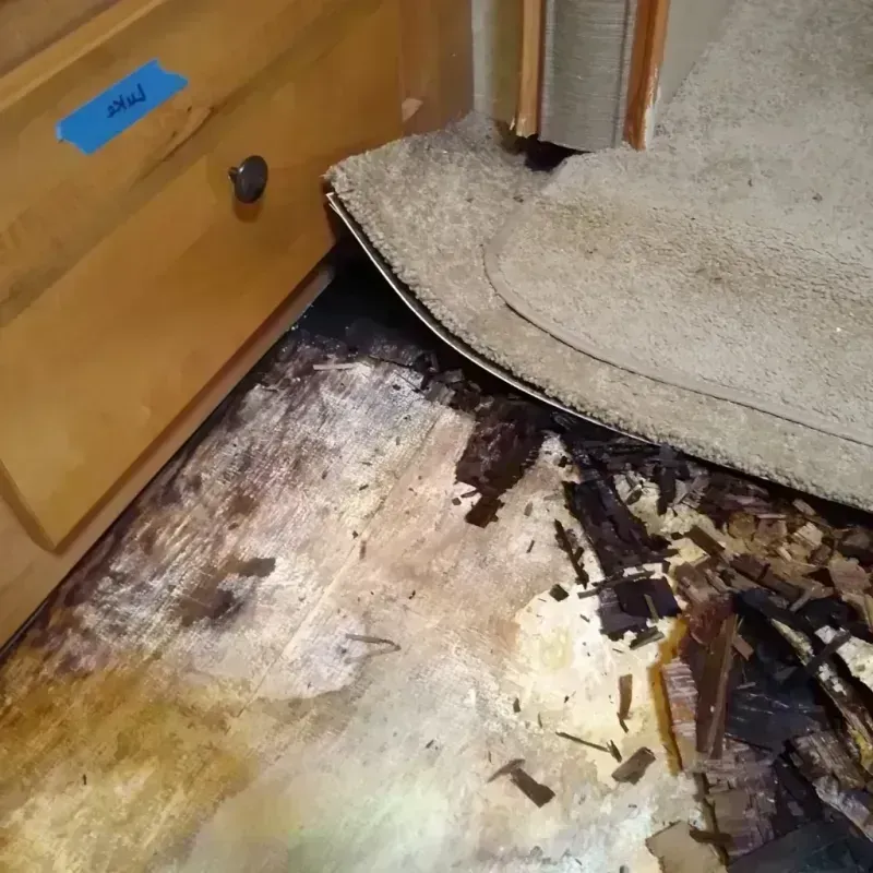 Wood Floor Water Damage in Nokomis, IL